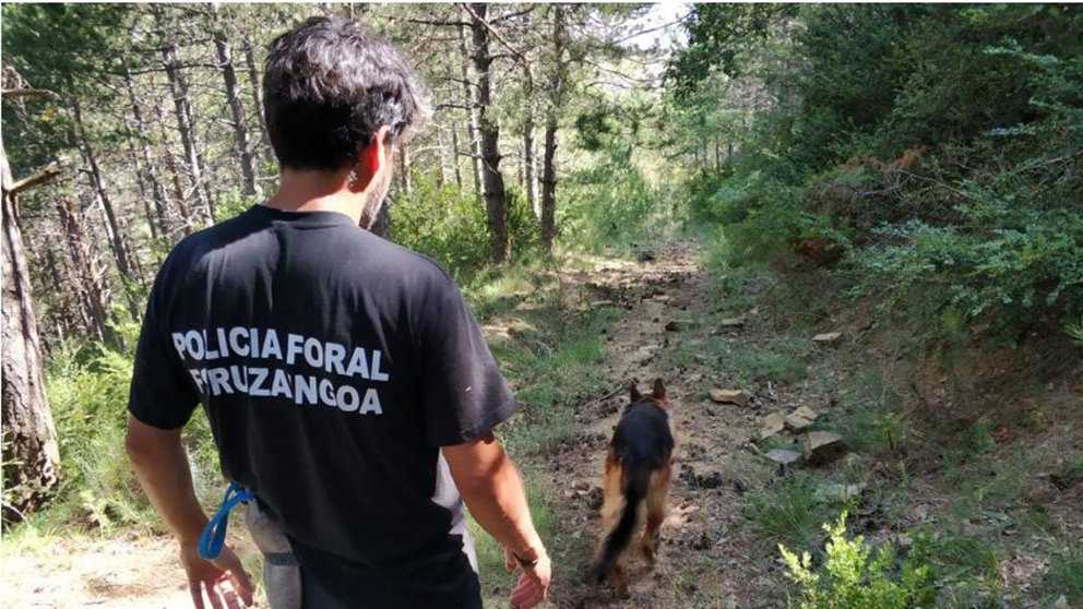Un Policía Foral acompañado de un perro en la búsqueda del peregrino brasileño