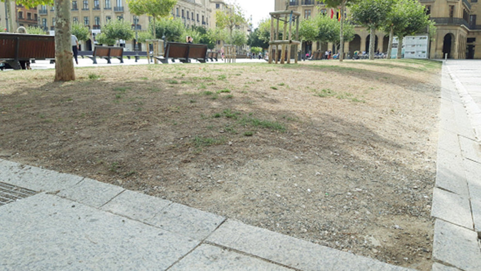 El estado actual de los jardines de la Plaza del Castillo PSN