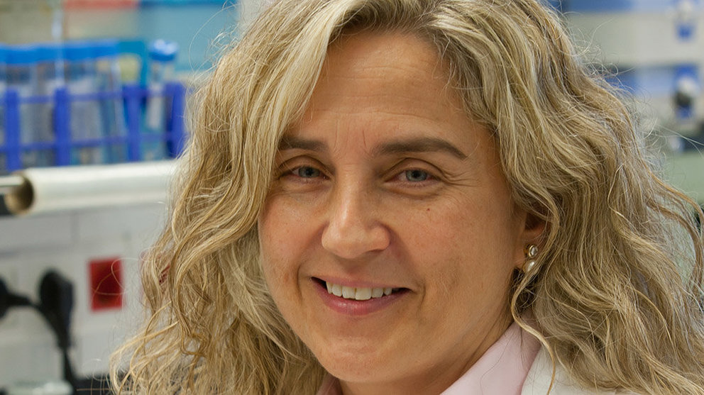 María Blanco, catedrática de la Universidad de Navarra y experta en nanomedicina y bioingeniería, se ha integrado en la Federación Europea de Ciencias Farmacéuticas IMAGEN CEDIDA