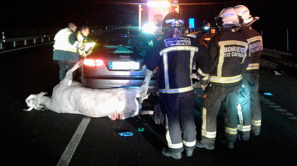 Accidente ocurrido en Santander en el que ha fallecido un hombre tras colisionar su coche contra una vaca. EMERGENCIAS