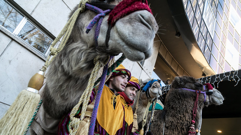 La Asociación Cabalgata Reyes Magos de Pamplona presenta la edición de este año con la presencia de los camellos de sus majestades  (11). IÑIGO ALZUGARAY