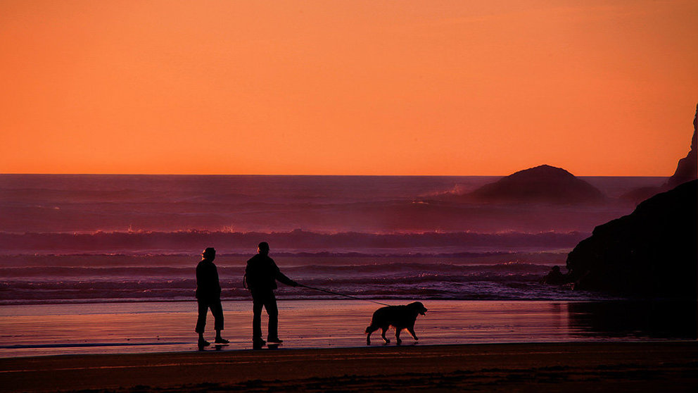Dos personas caminan junto a su perro por la orilla de una playa.