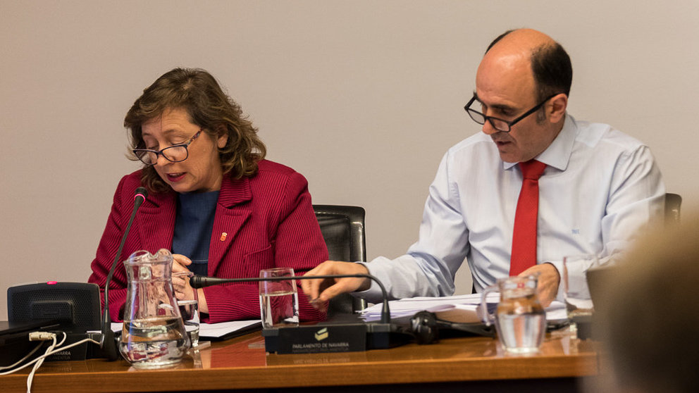 Isabel Elizalde y Manu Ayerdi explican en comisión parlamentaria  la situación actual de la construcción de la segunda fase del Canal de Navarra (03). IÑIGO ALZUGARAY