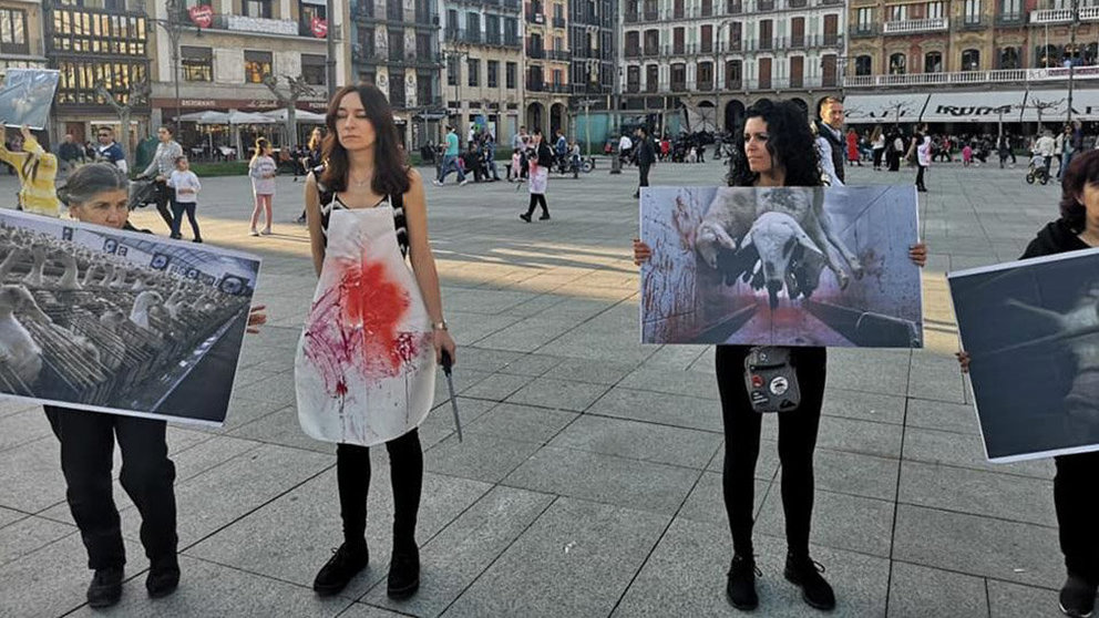 Imagen de una de las perfomance que el colectivo Libertad Animal Navarra ha llevado a cabo recientemente en la Plaza del Castillo de Pamplona para tratar de concienciar a la ciudadanía FACEBOOK LAN