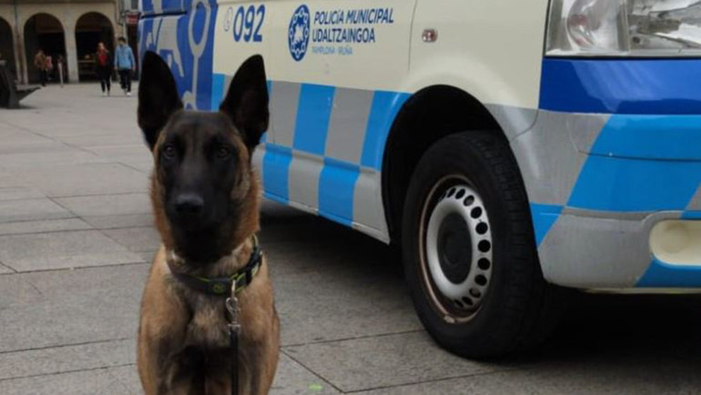La Policía Municipal de Pamplona crea un equipo de guías caninos POLICÍA MUNICIPAL