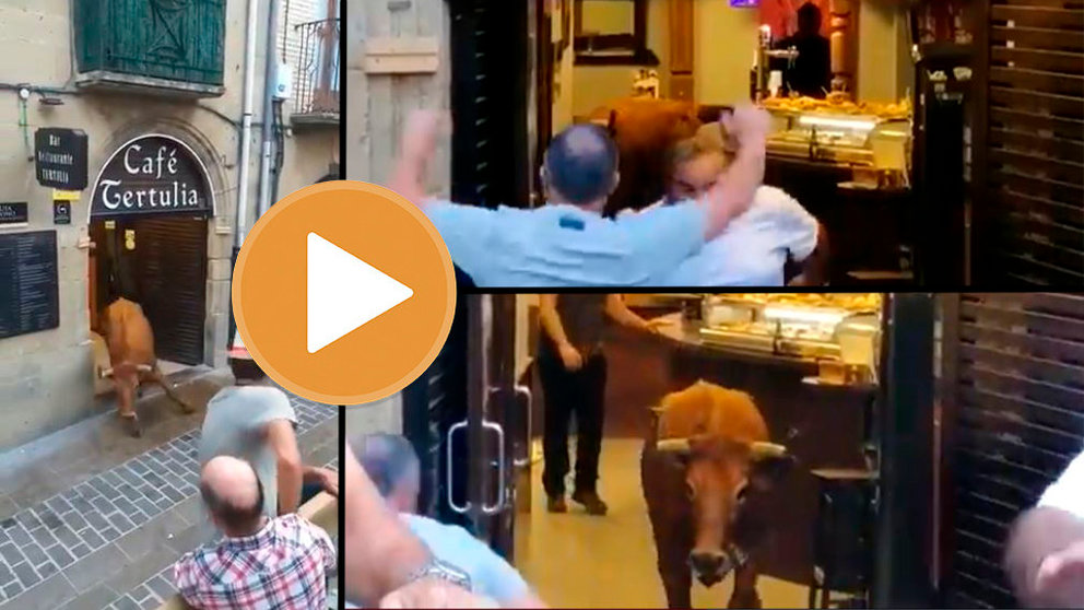 Una vaca se cuela dentro de un bar durante un encierro en la localidad alavesa de Laguardia. Fotos: TWITTER