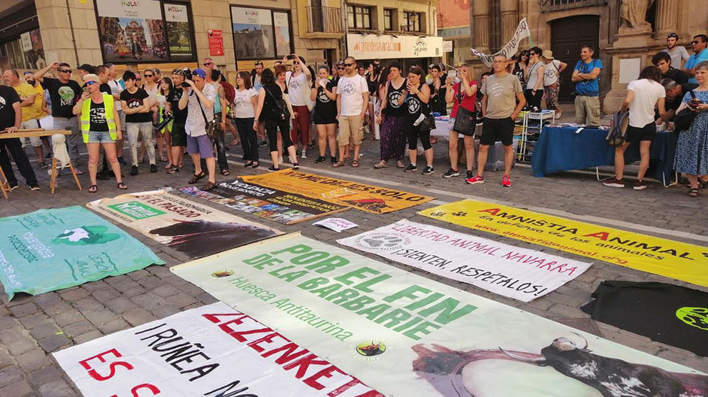 Manifestación antitaurina en Pamplona EUROPA PRESS