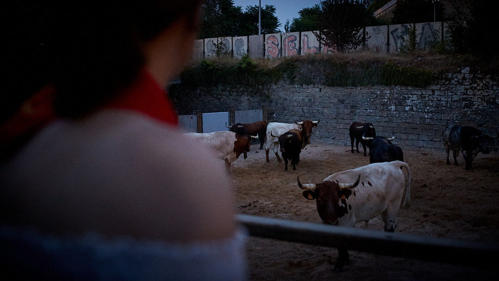 Encierrillo de los toros de la ganadería Cebada Gago, en la noche previa a protagonizar el segundo encierro de los Sanfermines 2019. IÑIGO ALZUGARAY