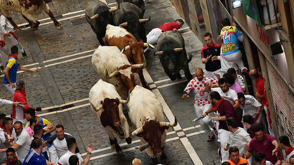 Revellers sprint near bulls and steers during the running of the bulls at the San Fermin festival in Pamplona, Spain, July 9, 2019.  
