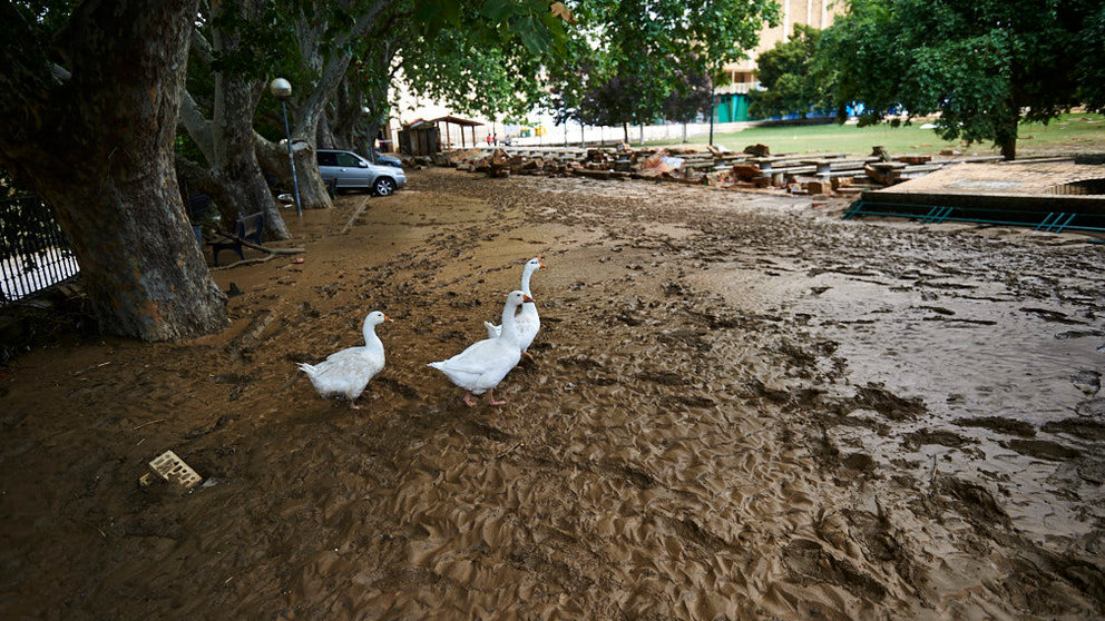 Estado de la ciudad de Tafalla tras inundación por la crecida del rio Cidacos esta madrugada. MIGUEL OSÉS