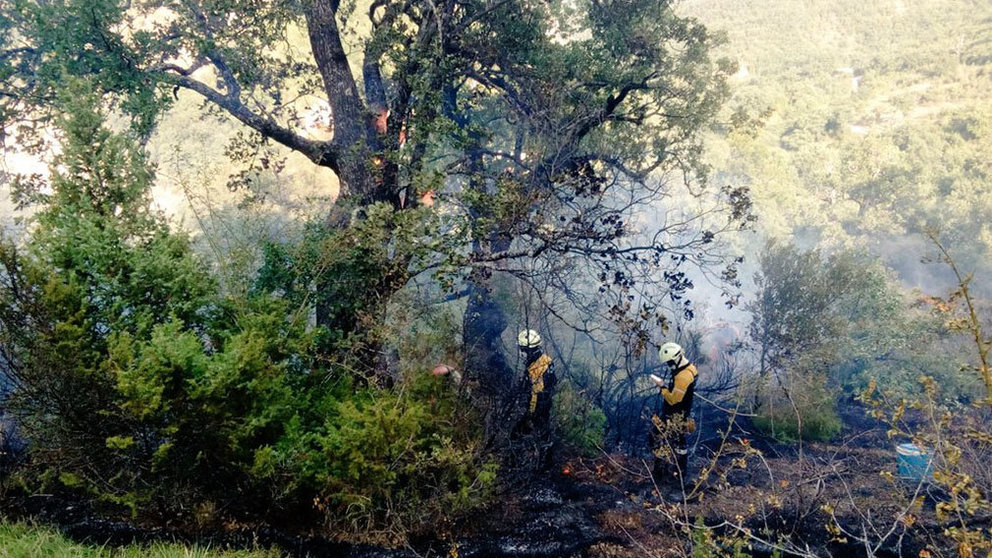 Incendio de la Sierra de Lóquiz. GUARDERIO FORESTAL