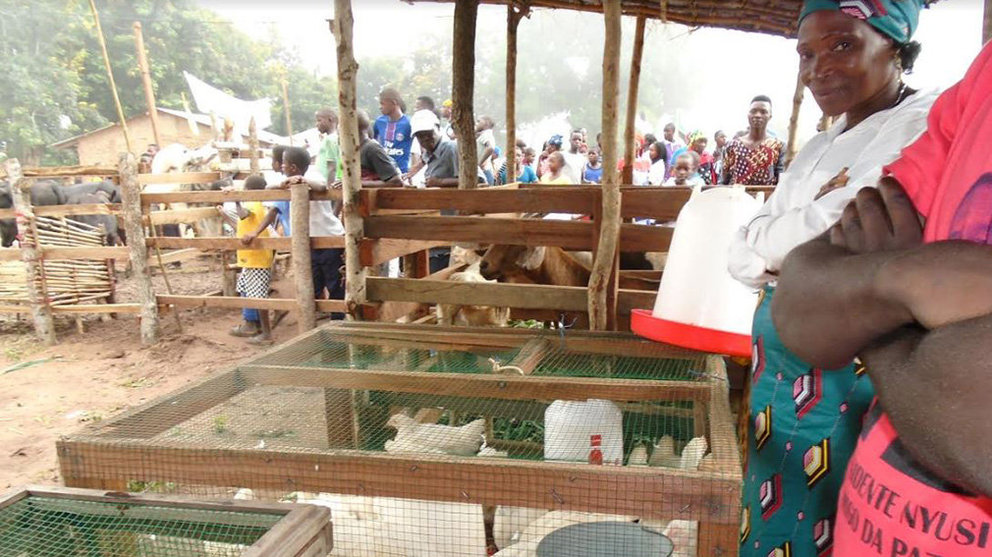Ayuda navarra para la seguridad alimentaria de una aldea de Mozambique CEDIDA