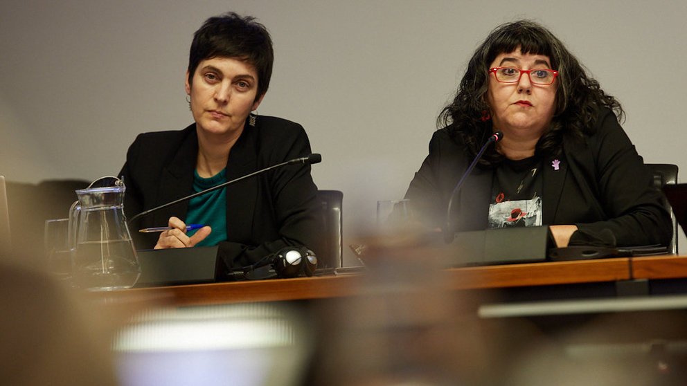 Eva Istúriz, directora Gerente del INAI, informa sobre las ayudas económicas que en materia de violencia contra las mujeres existen en Navarra. IÑIGO ALZUGARAY