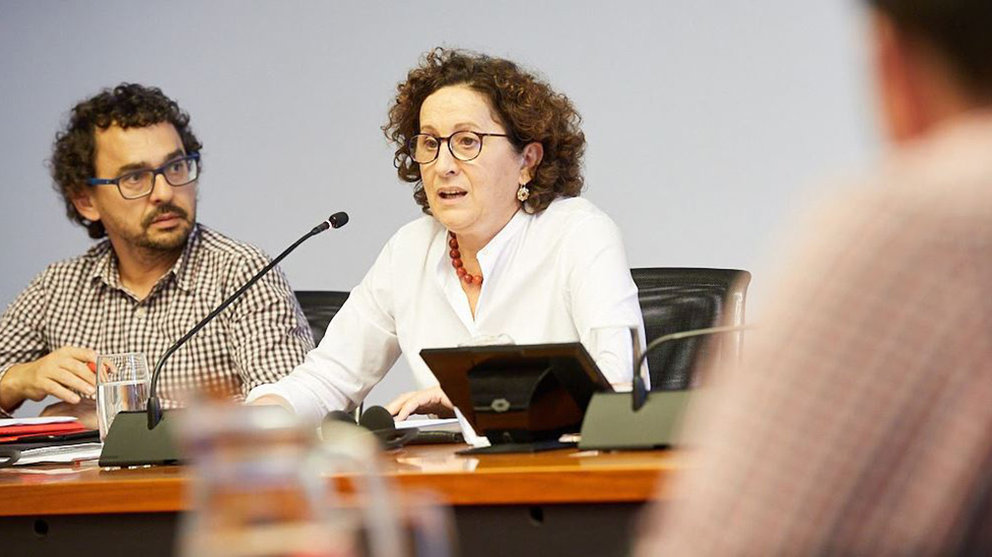 La consejera de Derechos Sociales, Mª Carmen Maeztu, en el Parlamento de Navarra IÑIGO ALZUGARAY