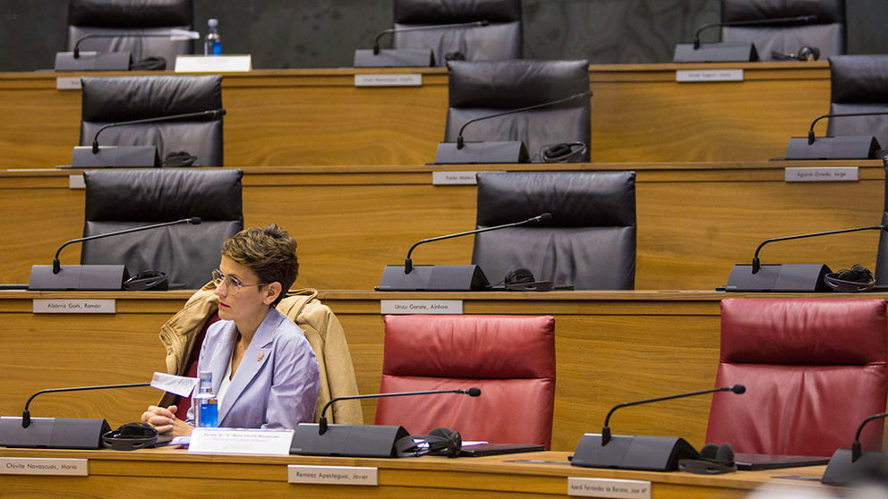 Pleno del parlamento de Navarra durante la crisis del coronavirus celebrado el 21 de abril de 2020 (18)