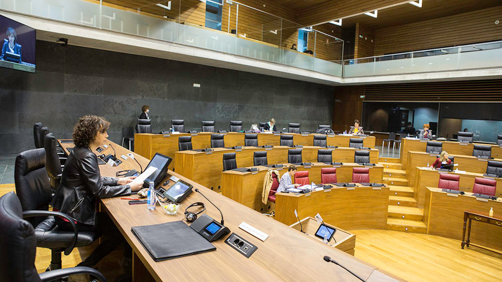 Pleno del parlamento de Navarra durante la crisis del coronavirus celebrado el 21 de abril de 2020 (19)