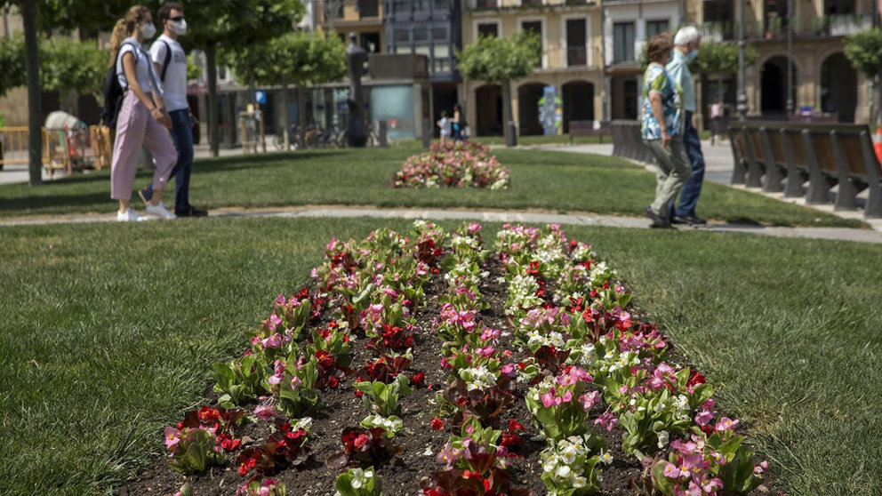 El Ayuntamiento de Pamplona comienza la plantación de parterres de flor de primavera.  AYUNTAMIENTO DE PAMPLONA