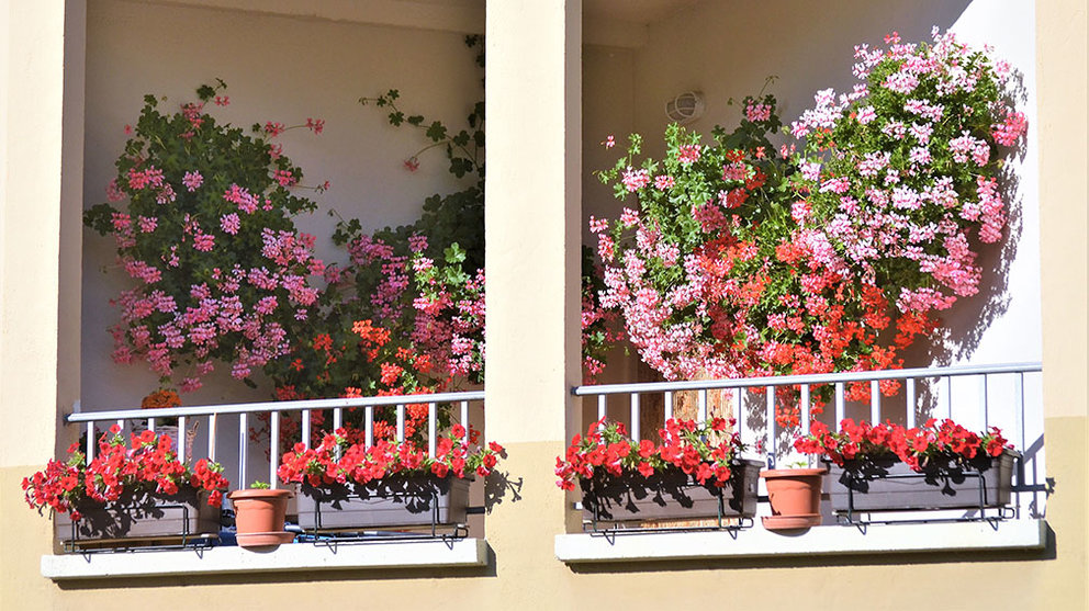 Balcón adornado con flores de Zizur Menor premiado por el Concejo. Cedida.