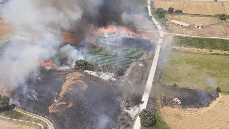 Incendio de cereal sin cosechar en  Carcastillo. BOMBEROS DE NAVARRA.