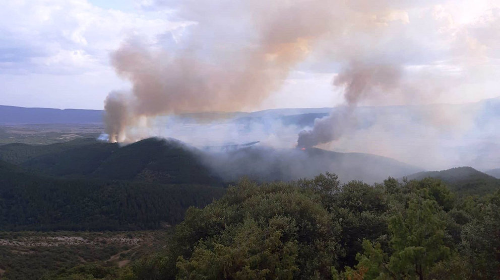 Incendio en un pinar en el valle de Lónguida
ESPAÑA EUROPA SOCIEDAD NAVARRA
POLICÍA FORAL