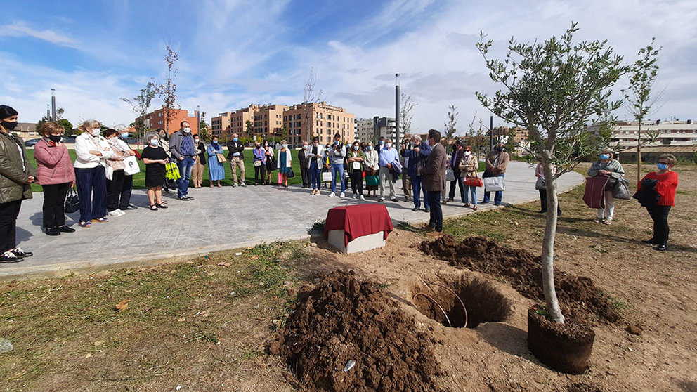 Momento de la plantación de un olivo para conmemorar el Día de los Mayores. AYUNTAMIENTO DE TUDELA