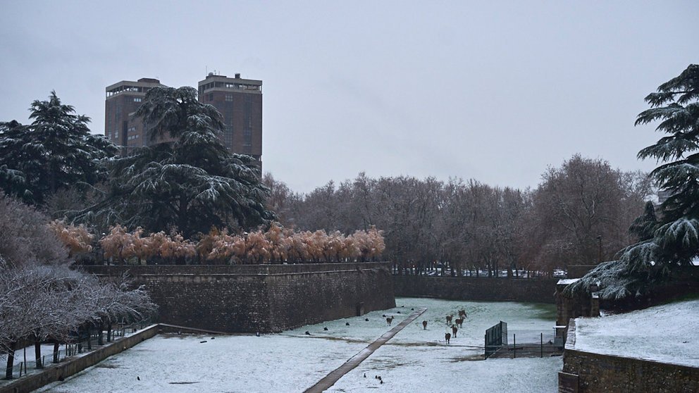 Un manto de nieve cubre Pamplona y Navarra durante el 5 de diciembre de 2020. PABLO LASAOSA