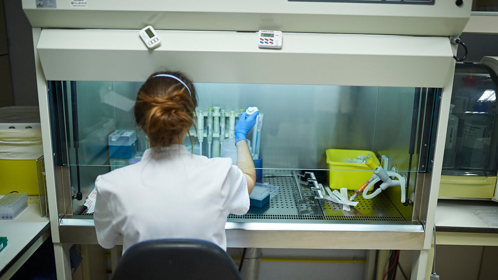 Una técnico de laboratorio analiza pruebas PCR en la CUN. PABLO LASAOSA