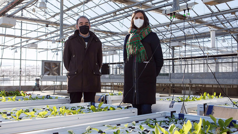 Idoia Ariz y Alfonso Cornejo en la instalación del invernadero realizada en el marco del proyecto. UPNA