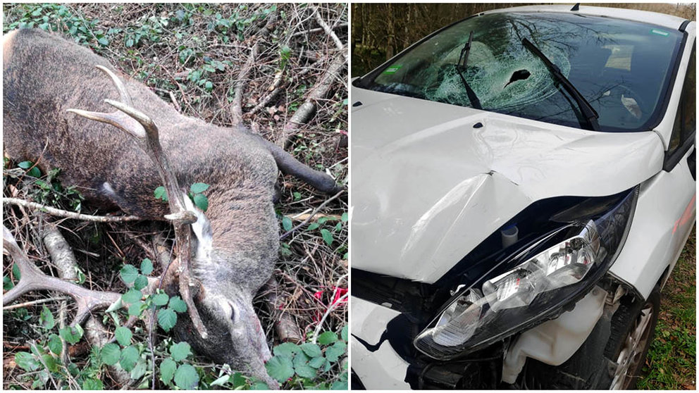Dos personas han resultado heridas leves después de un accidente de tráfico sufrido tras atropellar a un ciervo en Erro. POLICÍA FORAL