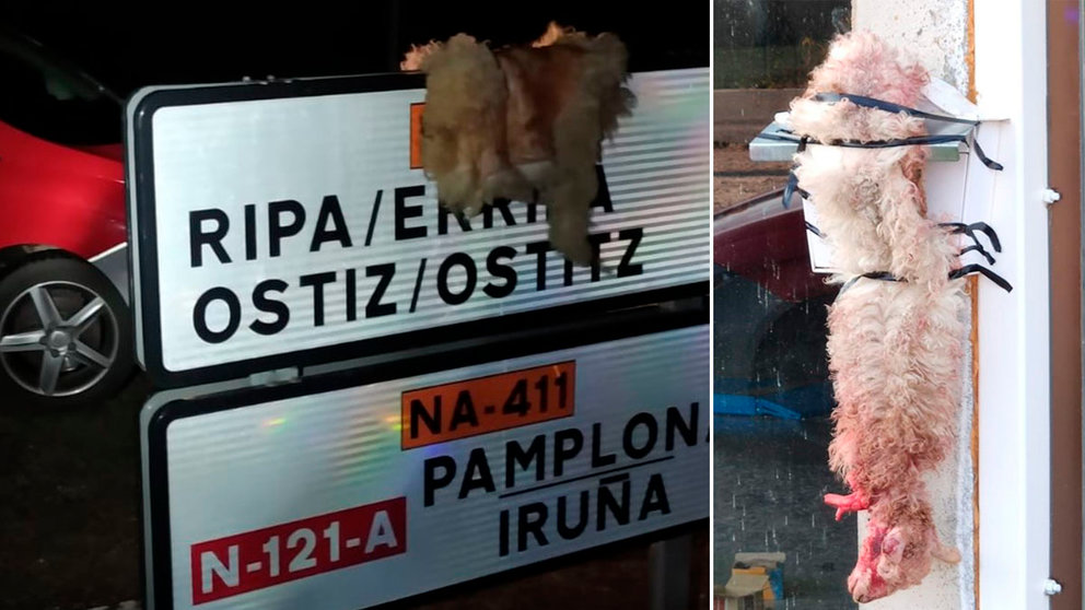 Aparecen corderos degollados en varios puntos públicos de la zona de Ulzama POLICÍA FORAL