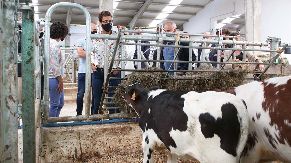 Chivite durante la visita al centro Biointegra de Aspace en Roncesvalles, donde elaboran productos lácteos. GOBIERNO DE NAVARRA