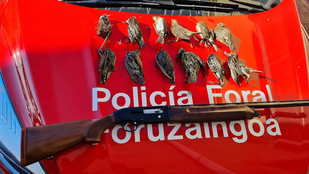 Arma y piezas abatidas incautadas por la Policía Foral - POLICÍA FORAL