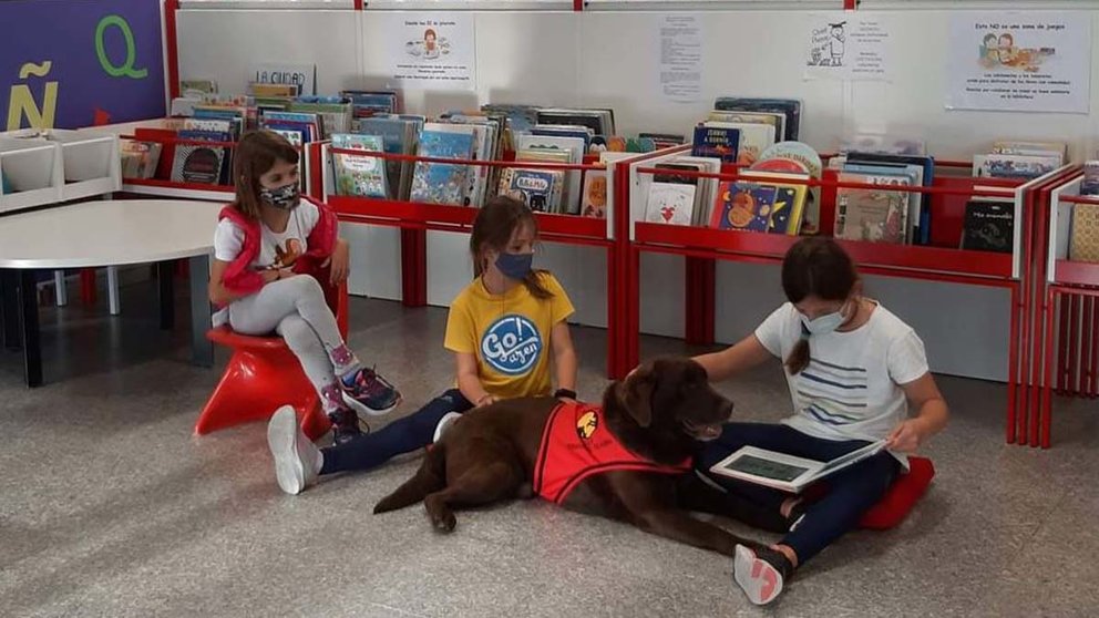 ‘Lectura asistida con animales’: la propuesta gratuita de esta semana de la Biblioteca Pública San Jorge para niños de 6 a 9 años. AYUNTAMIENTO DE PAMPLONA