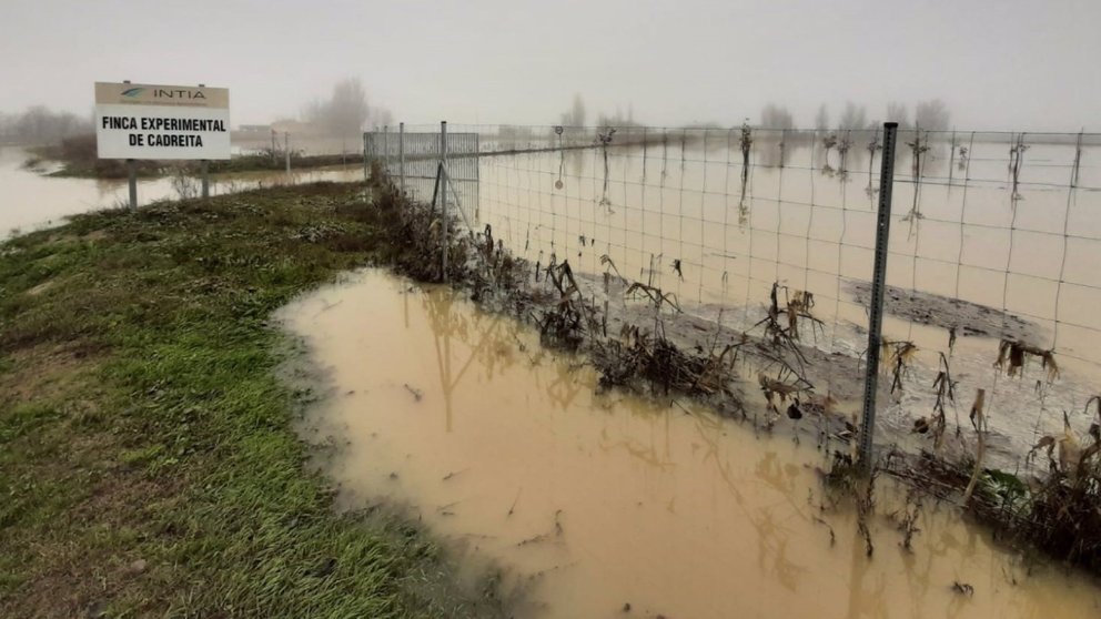 Las inundaciones de diciembre dejan "completamente invalidados" ensayos de INTIA en Cadreita. INTIA