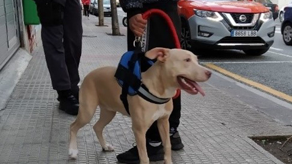 Policía, menor y perro durante la intervención. POLICÍA FORAL