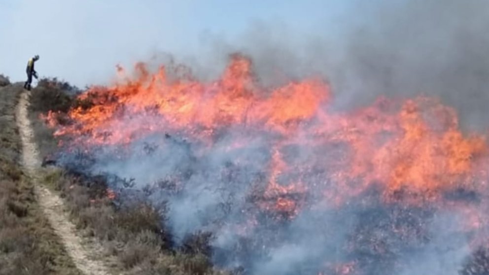 Incendio de vegetación en Lazagurria. BOMBEROS DE NAVARRA