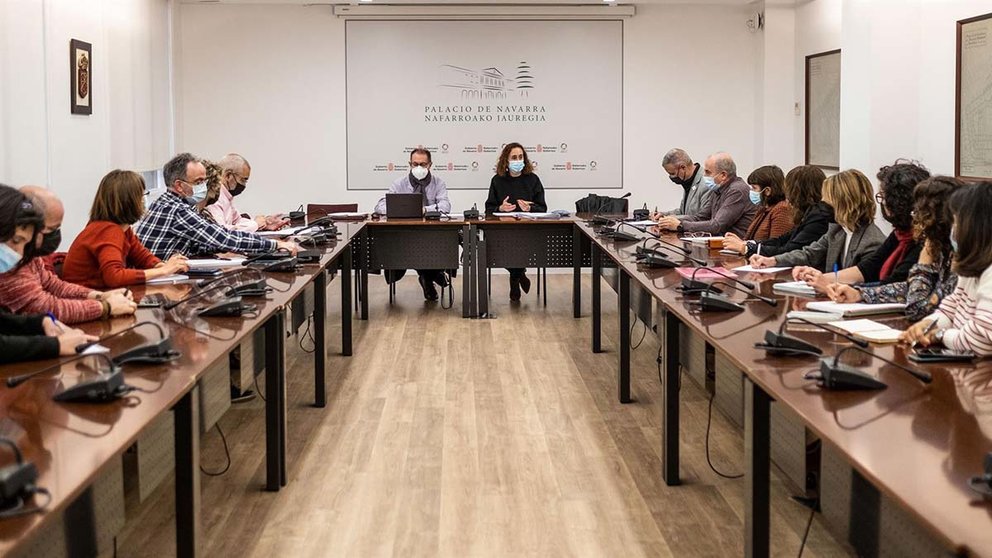 El Gobierno de Navarra se reúne con profesionales de la salud mental para atender a personas que huyen de la guerra. CEDIDA