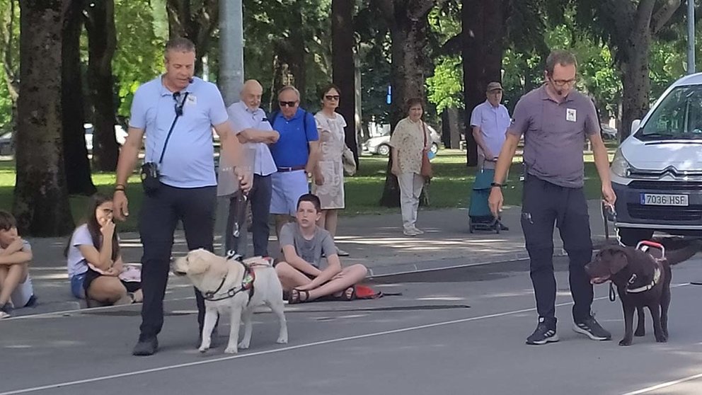 Exhibición de perros guía de la ONCE en el parque Antoniutti de Pamplona. ONCE