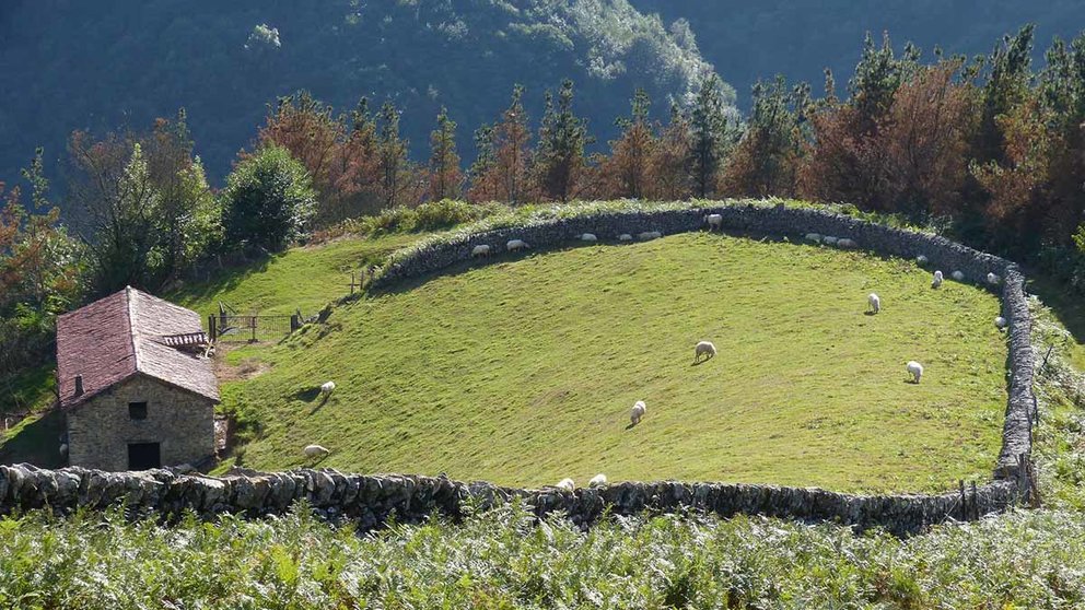 Casa en entorno rural en Navarra