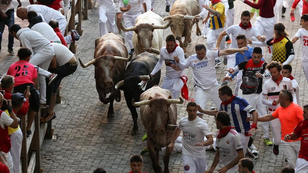 Los toros de la ganadería gaditana Núñez del Cuvillo en la bajada al callejón durante el primer encierro de los Sanfermines 2022. EFE