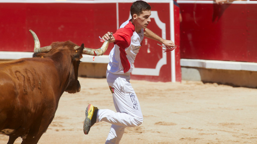 Gran Concurso Nacional de Anillas con vacas de Marcén en la Plaza de Toros de Pamplona durante las fiestas de San Fermín 2022. IÑIGO ALZUGARAY