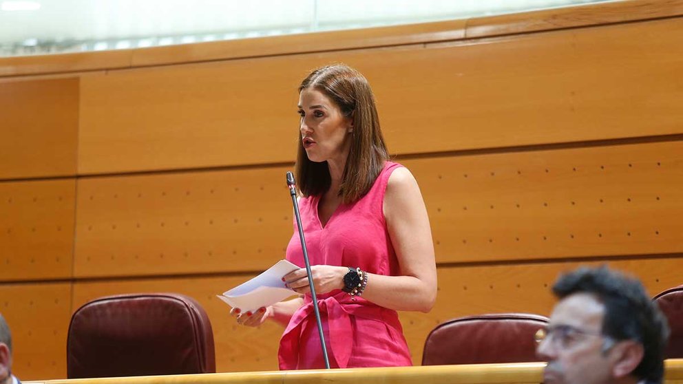 La diputada navarra Ruth Goñi durante una intervención en el Senado.