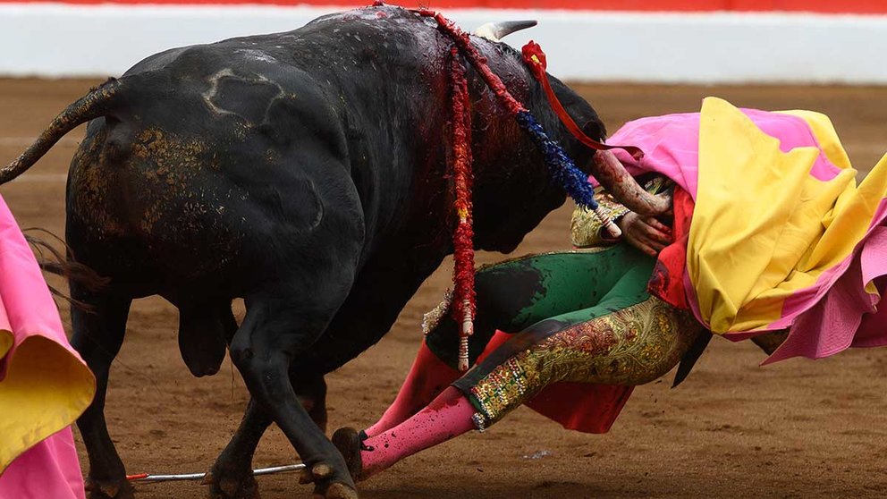 El diestro Dávila Miura sufre una cogida en la faena a uno de los de su lote, durante la corrida de la Feria de Santiago celebrada esta tarde en la plaza de toros de Santander. EFE/Pedro Puente