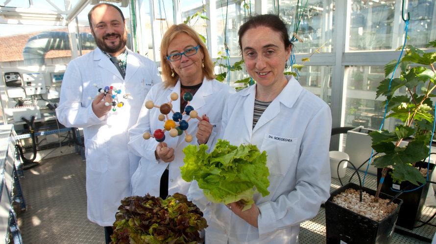 Los investigadores Daniel Plano, Carmen Sanmartín y Nieves Goicoechea.
