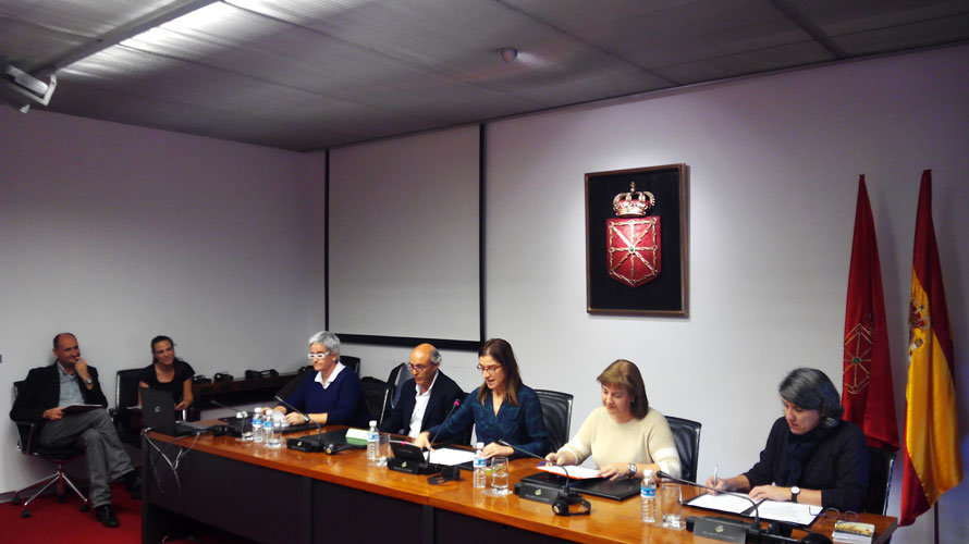 Comisión de Educación en el Parlamento de Navarra. 