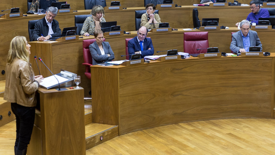 Pleno del Parlamento de Navarra (29). IÑIGO ALZUGARAY