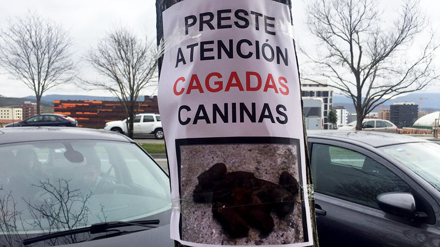 Carteles en Pamplona que alertan de cagadas de perros por las aceras. 4