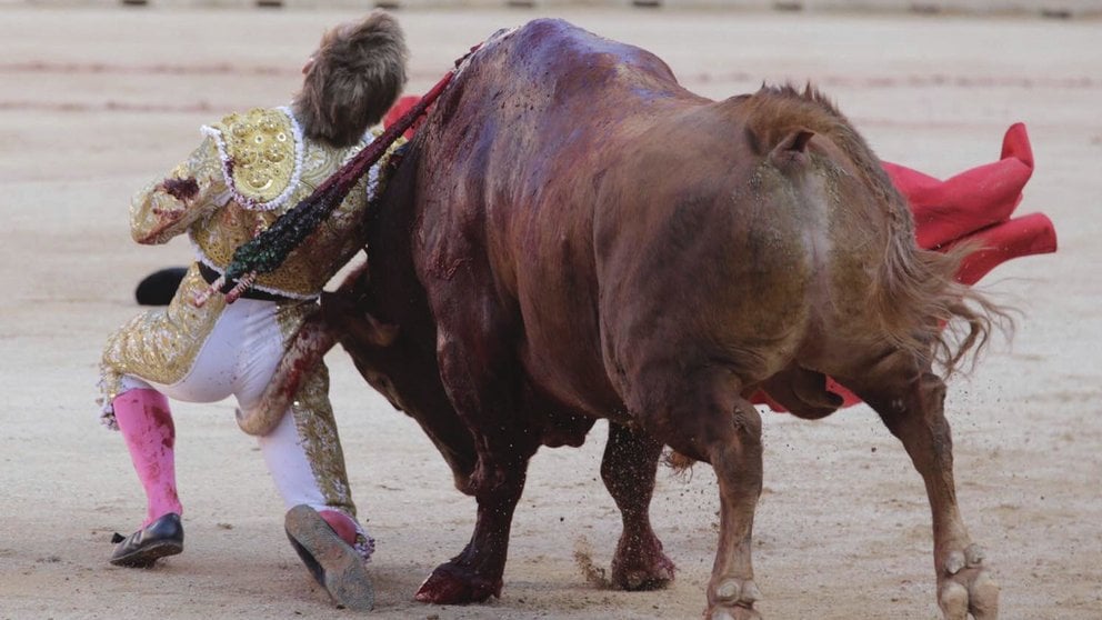 El diestro Javier Jimenez sufre una cogida de uno de los toros de Cebada Gago. EFE/Jim Hollander