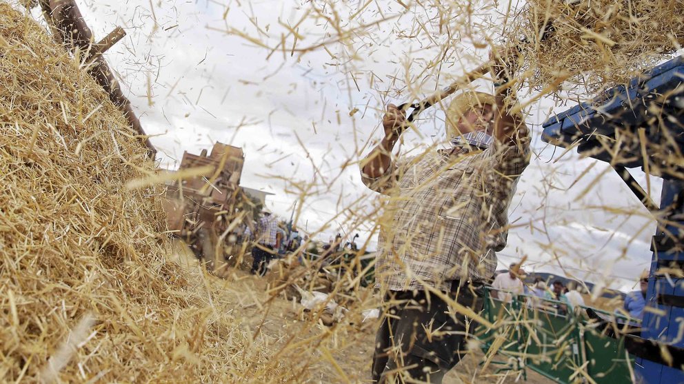 Un grupo de vecinos de Salinas de Ibargoiti llevan a cabo la labor de la trilla durante la celebración del Día de la Trilla. EFE/Villar López