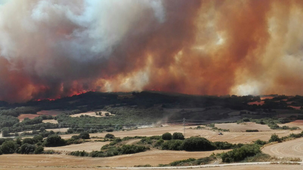 Imágenes del incendio forestal que rodeó la finca de los Hermanos Ganuza el pasado 25 de agosto (4)